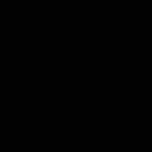 Meet your Posher, Nazar